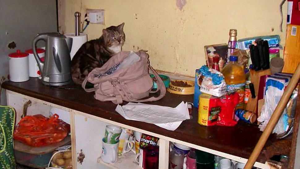 Cum trăiau o bătrână și fiica ei cu 100 de pisici într-o casă mizerabilă 