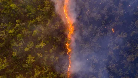 O fotografie realizată cu drona de Robert Irwin, fiul lui Steve Irwin, stârnește controverse