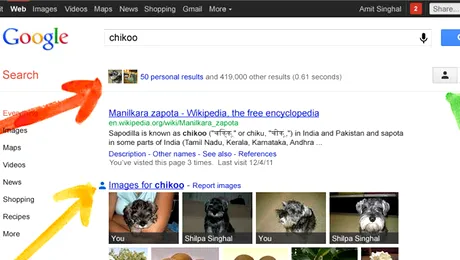 Google introduce cautarea in serviciul Google+ (Video)