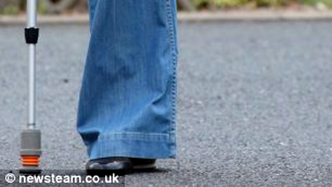 Femeia-flamingo isi accepta soarta si merge mai departe, chiar daca intr-un picior