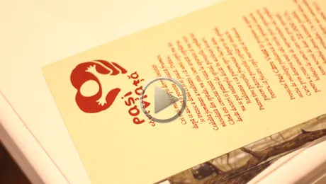 15 decembrie – Ziua Povestilor (Video)