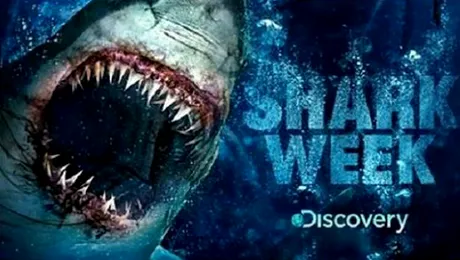 Shark Week îşi arată din nou colţii pe Discovery Channel