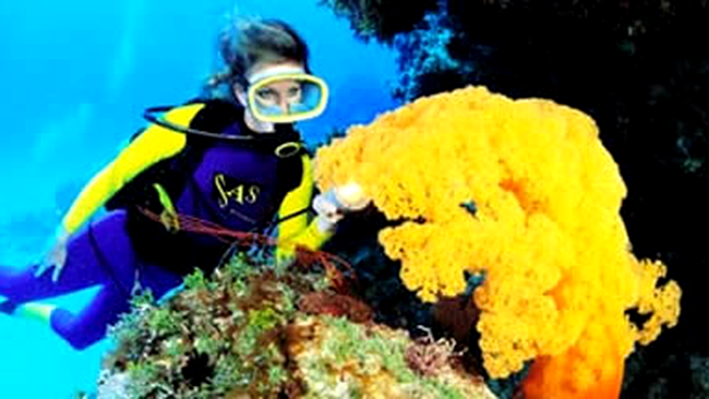 marea bariera de corali