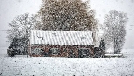 Vremea rea a lăsat 100.000 de belgieni fără curent