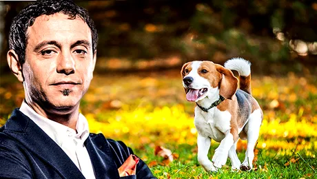 Sorin Bontea. APROPO, azi am chef de…