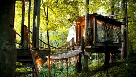Cele mai frumoase 10 case în copac: una este în România
