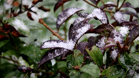 Cum va fi vremea până pe 4 ianuarie 2015