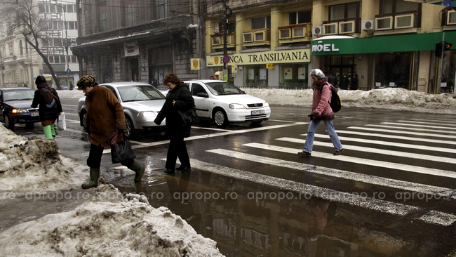 Cum spuneam: soferi sunt OK, pietonii sunt KO!