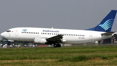 Avion indonezian „deturnat” de un vitel