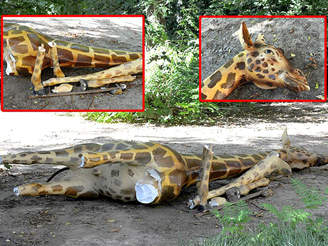 Girafa de la Antipa, după vandalizare
