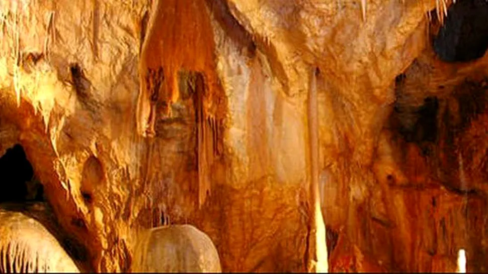 România are peșteri de mulaj vechi de 5,3 milioane de ani