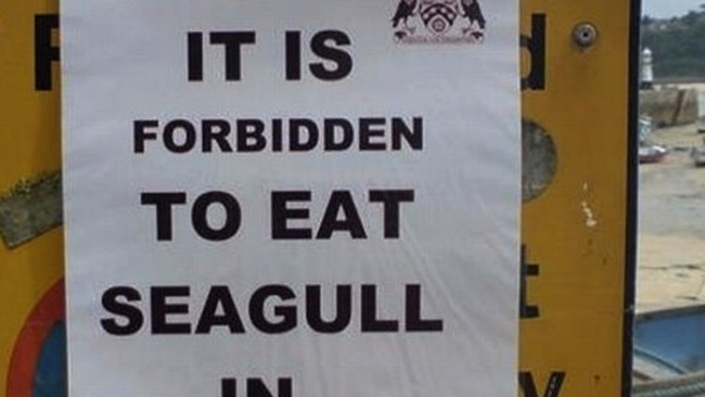 Este interzis consumul de perscarusi pe strazi