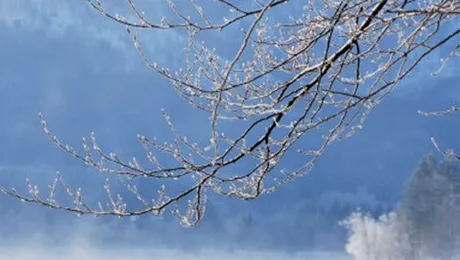 Prognoza meteo pentru vineri, 23 ianuarie 2015