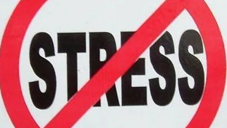 Rezisti in fata stresului de la job sau te dai batut?