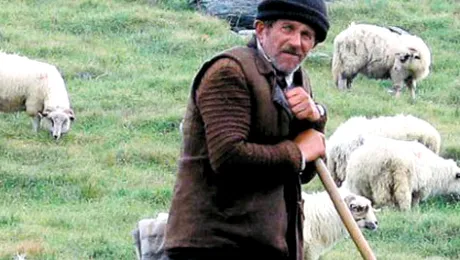 El este cel mai mic cioban din lume!