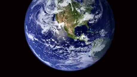 Viata pe Terra a evoluat in etape scurte, dar importante!