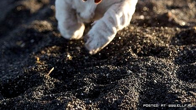 Te provoc sa nu clipesti