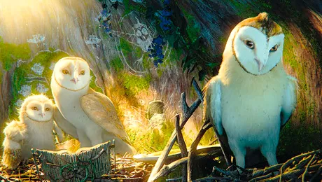 Legende din regatul bufniţelor