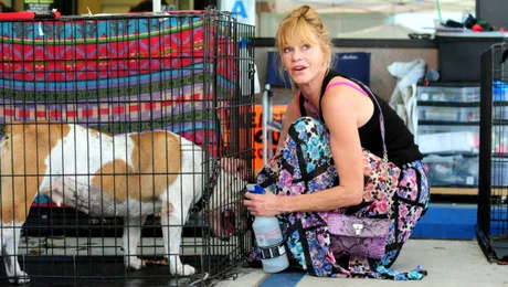 Melanie Griffith se ceartă cu Antonio Banderas… pe câini!