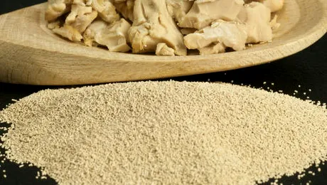 Drojdia de bere. Ce proprietăți terapeutice are drojdia de bere