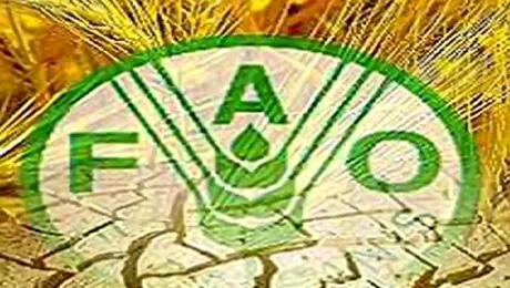 ONU avertizează: Vine foametea, umpleți-vă cămările!