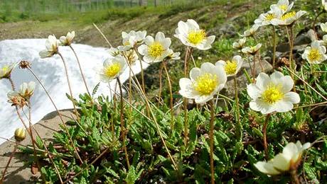 Cum va fi vremea până pe 2 martie 2014