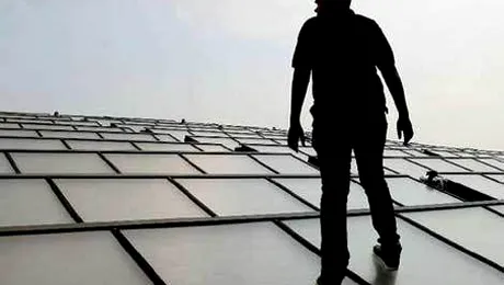 Domenii de afaceri care ar putea fi profitabile in 2012