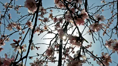 Cum va fi vremea până în luna mai 2014