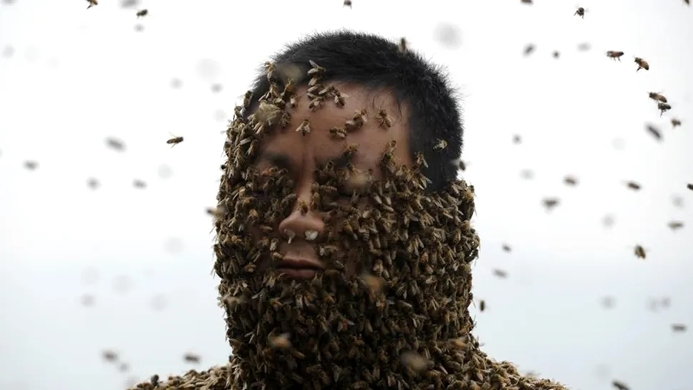 A stat acoperit de albine 40 de minute