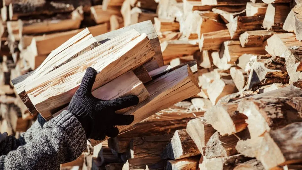 (P) Care esență de lemn oferă cea mai bună căldură raportată la preț