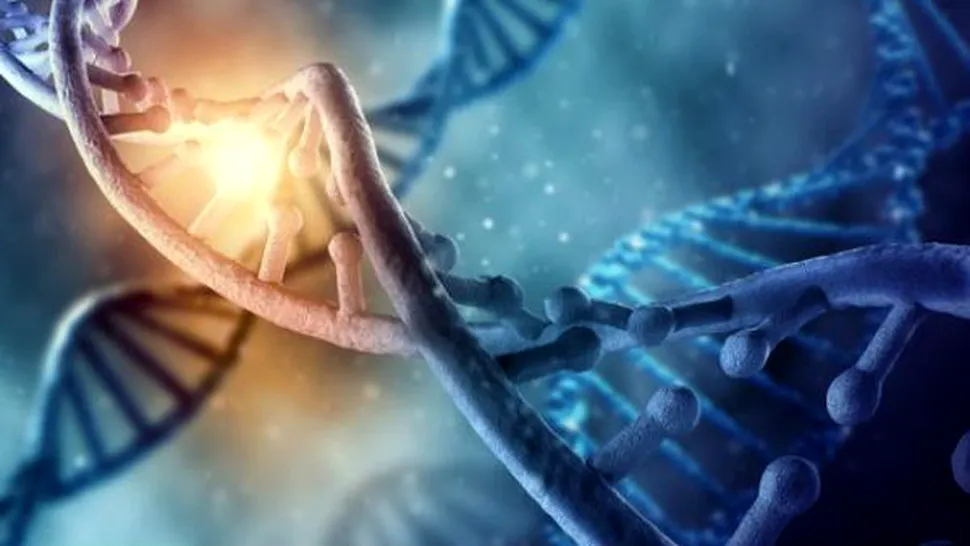 Călătoria ADN (The DNA Journey): Vizitează ţările din care provii - VIDEO