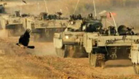 Wajnsztejn:”Traiesc in teroare! Mi-e frica sa ma antrenez” (Sport.ro)