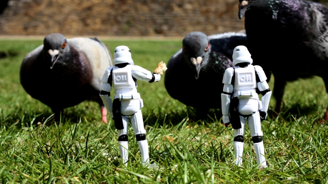 Doi soldatii clona in pauza de filmare, care hranesc porumbei mai mari decat ei 