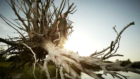 HISTORY® prezintă în premieră noul serial „Legenda lui Shelby, omul mlaştinii”