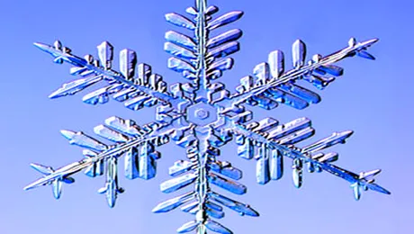 Fulgi de zapada vazuti la fotomicroscop (Poze)