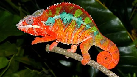 20 de lucruri despre care nu aveai habar!