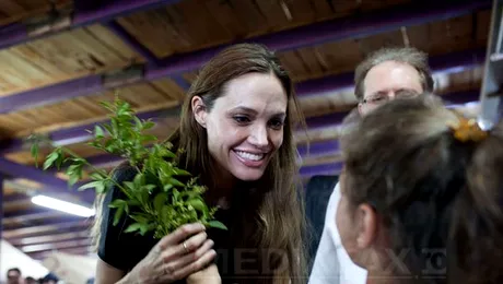 Angelina Jolie supravietuieste cu 600 de calorii pe zi