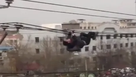 Ce face alcoolul din om (Video)