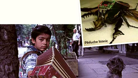 Unui copil din Strehaia i s-au găsit păduchi bionici în păr!