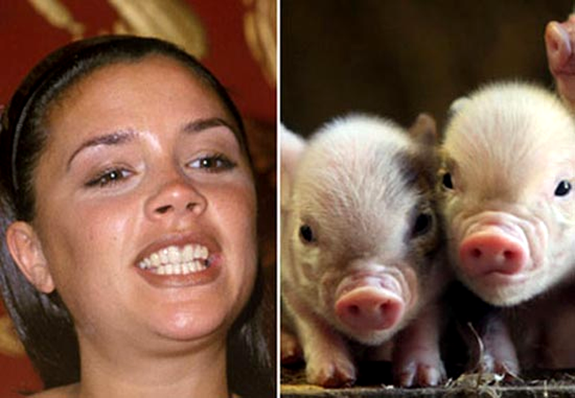 Victoria Beckham a cumparat porci ca animale de casa pentru copiii ei
