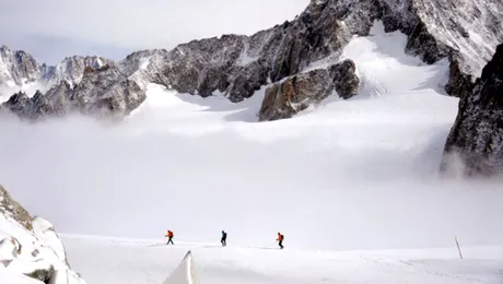 Comorile se găsesc peste tot. Chiar și pe Mont Blanc!