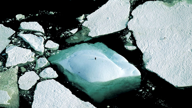 Adelie Land, Antarctica