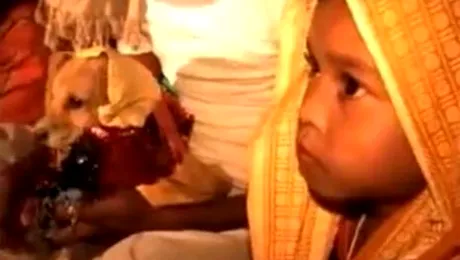 O fetita de 8 ani s-a maritat cu un caine (Poze & Video)