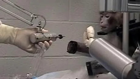 Mana de fier care pune gandul in practica