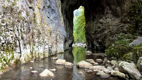 Cheile Râmeţului – îngusta lume de apă şi stâncă din Munţii Trascăului