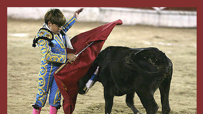 Michelito Lagravere, in varsta de doar 12 ani, a fost pus la pamant de un taur furios