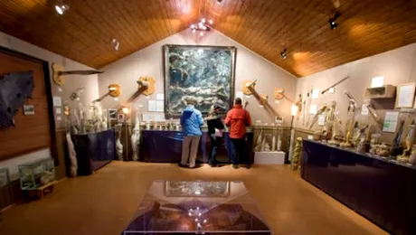 Un batran si-a donat barbatia unui muzeu