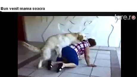 Doar cainele te iubeste, mama soacra?! (Video)