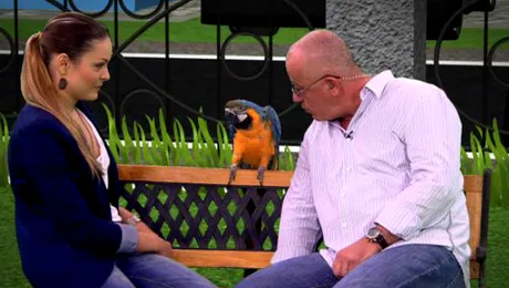 Digi Animal World lansează prima emisiune, producţie proprie