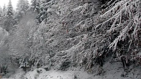 O avalansa a blocat drumul national 67 D, in Mehedinti